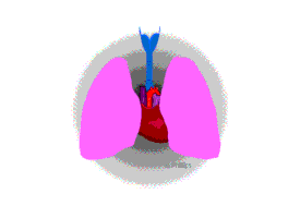 Respiratory GIFs - Find & Share on GIPHY