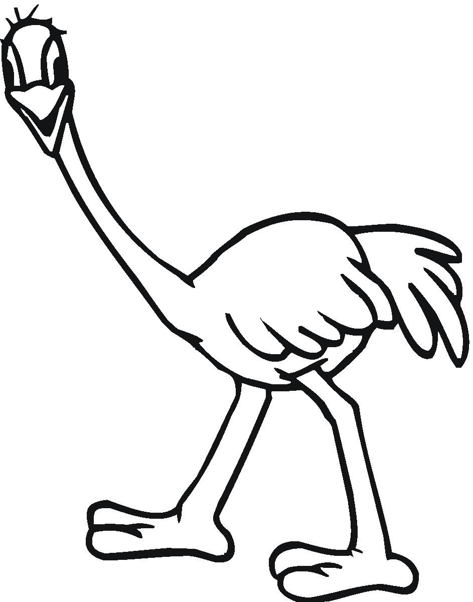Free Printable Ostrich Coloring Pages For Kids