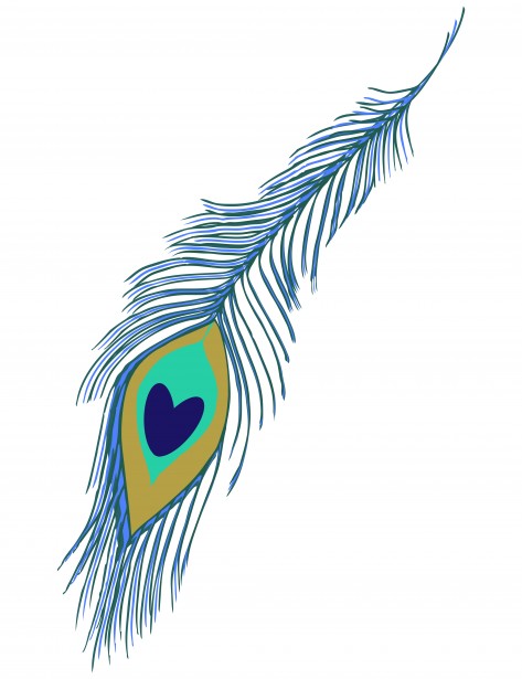 Clipart of peacock feather