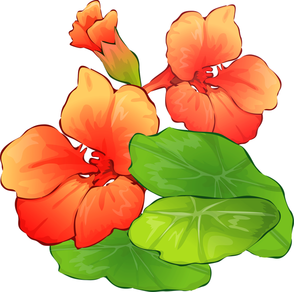 A Bouquet of Summer Flowers Clip Art