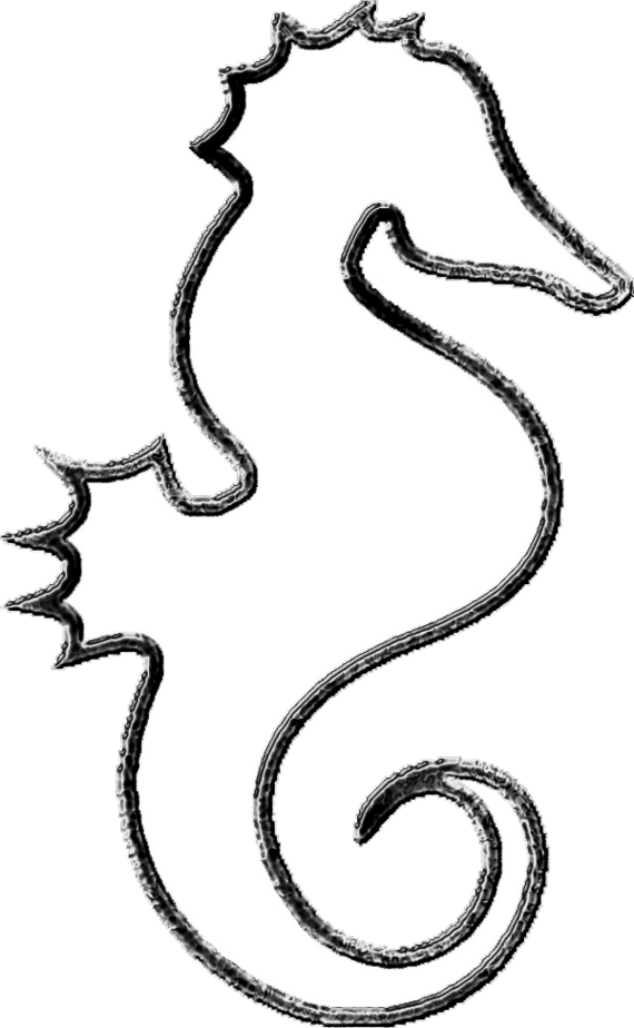 Seahorse clipart black and white