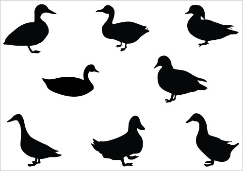Duck Silhouette clip art Pack | Silhouette Clip ArtSilhouette Clip Art