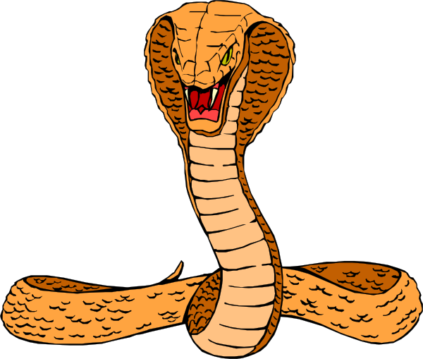 Cobra Clip Art Vector - Free Clipart Images