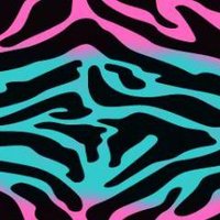 Pink Zebra Print Pictures, Images & Photos | Photobucket