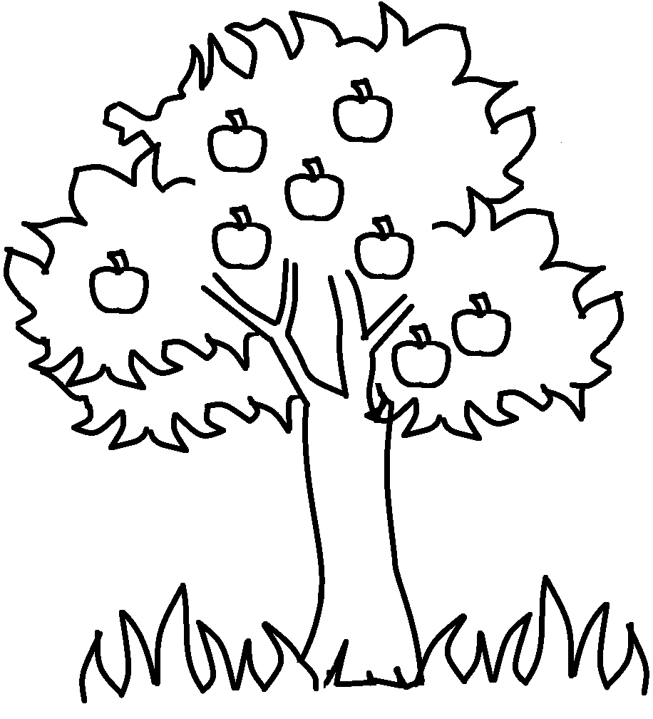 Black And White Tree Drawing