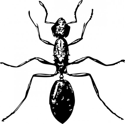 Outline of ant free vector download (5,431 Free vector) for ...
