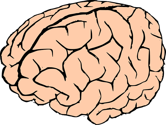 Free Human Brain Clip Art