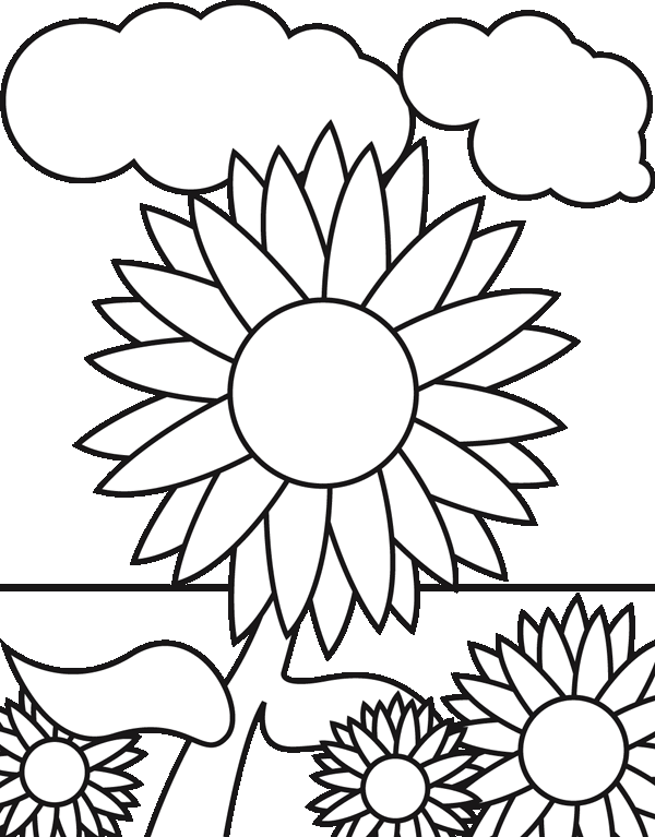 Drawing Sunflower - ClipArt Best