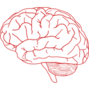 clipart-brain-profile-2-f75a.png