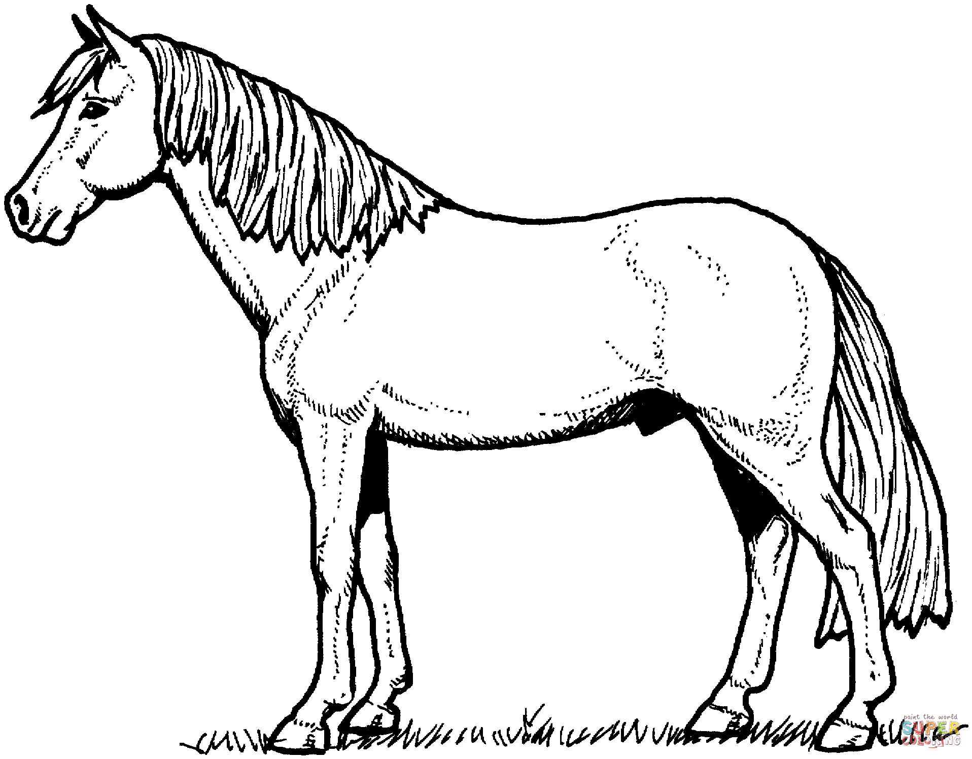 Free Printable Horse Colouring Pictures