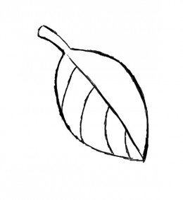 How to draw a leaf