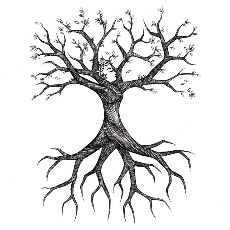 tree roots drawing tattoo