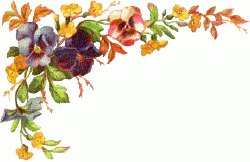 Pansy Border Clipart
