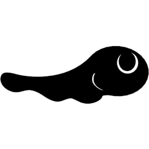 Tadpole 1 clipart, cliparts of Tadpole 1 free download (wmf, eps ...