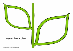 Plants Primary Teaching Resources and Printables - SparkleBox