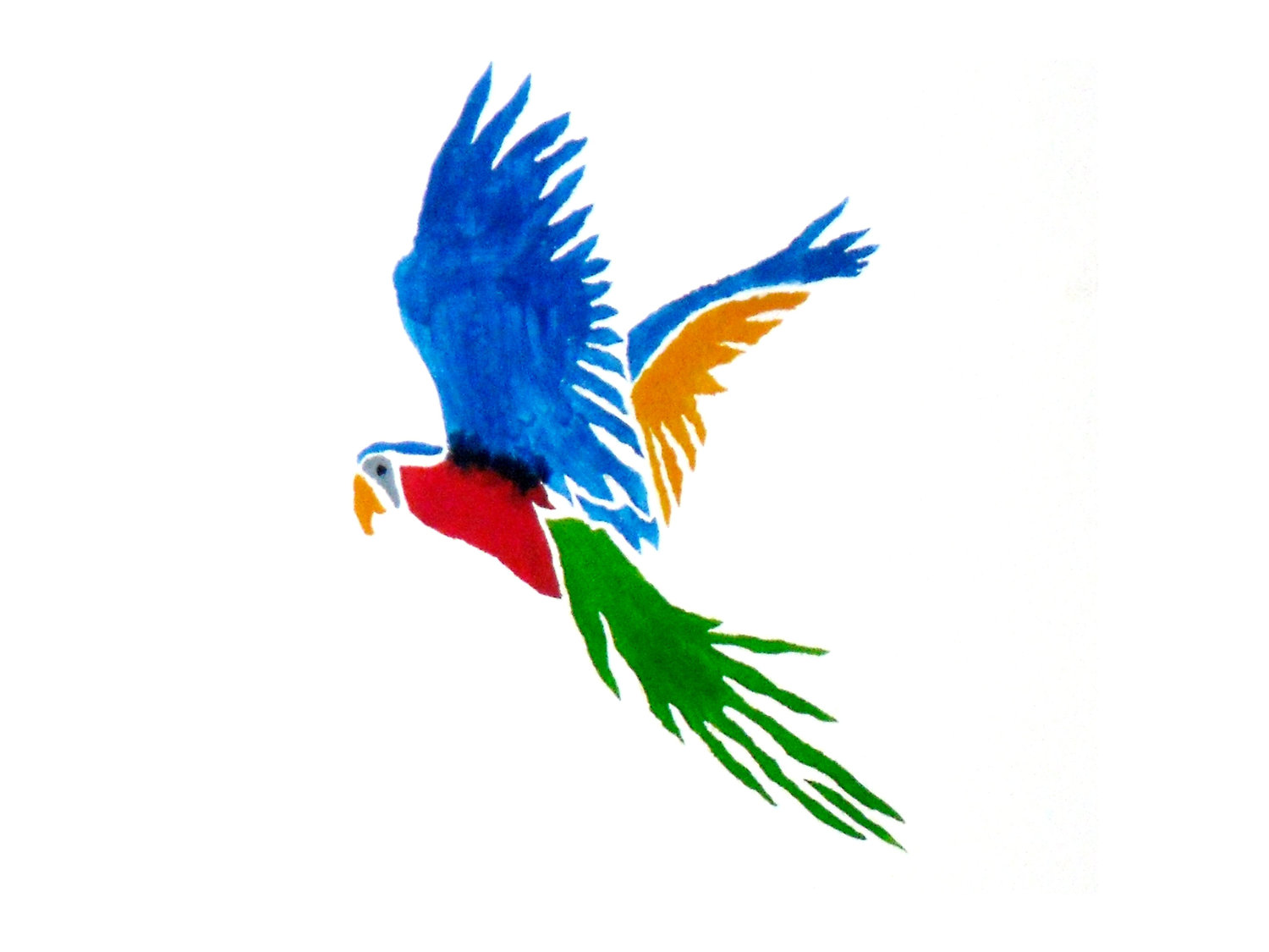Flying parrot images