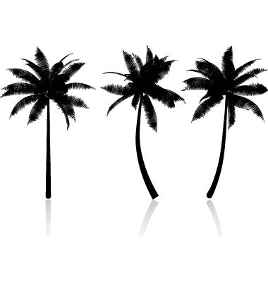 palm tree graphic image search results