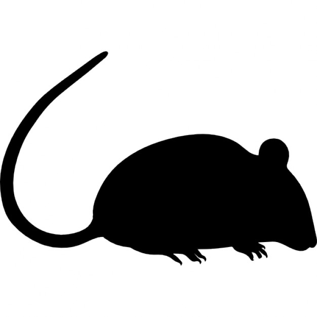 Rat Vectors, Photos and PSD files | Free Download