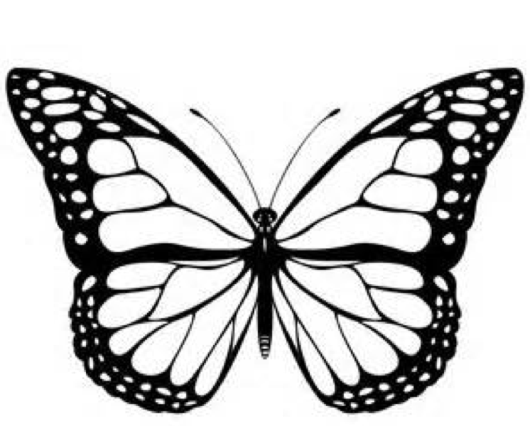 monarch butterflies coloring pages best photos of monarch ...