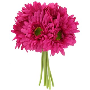 Gerber Daisy Drawing | Free Download Clip Art | Free Clip Art | on ...