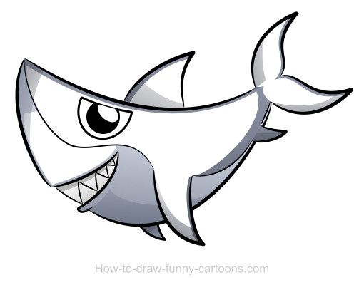 Shark Drawing | Shark Illustration ...