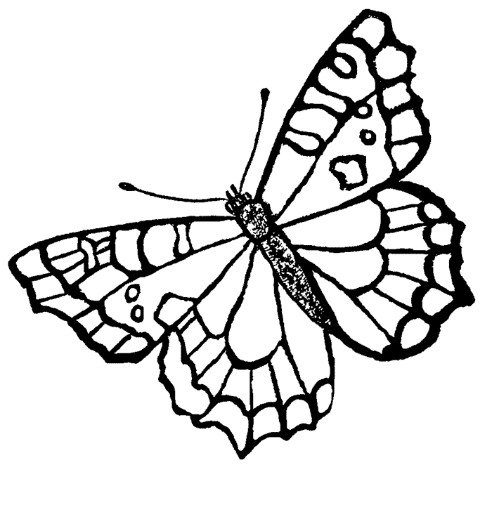 Printable Butterfly Pictures To Color