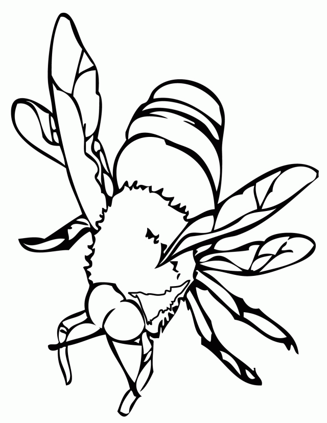 Honey Bee Coloring Page - AZ Coloring Pages