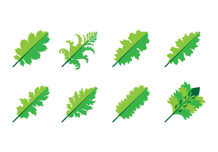 Free Acanthus Leaf Icon Vector - Download Free Vector Art, Stock ...