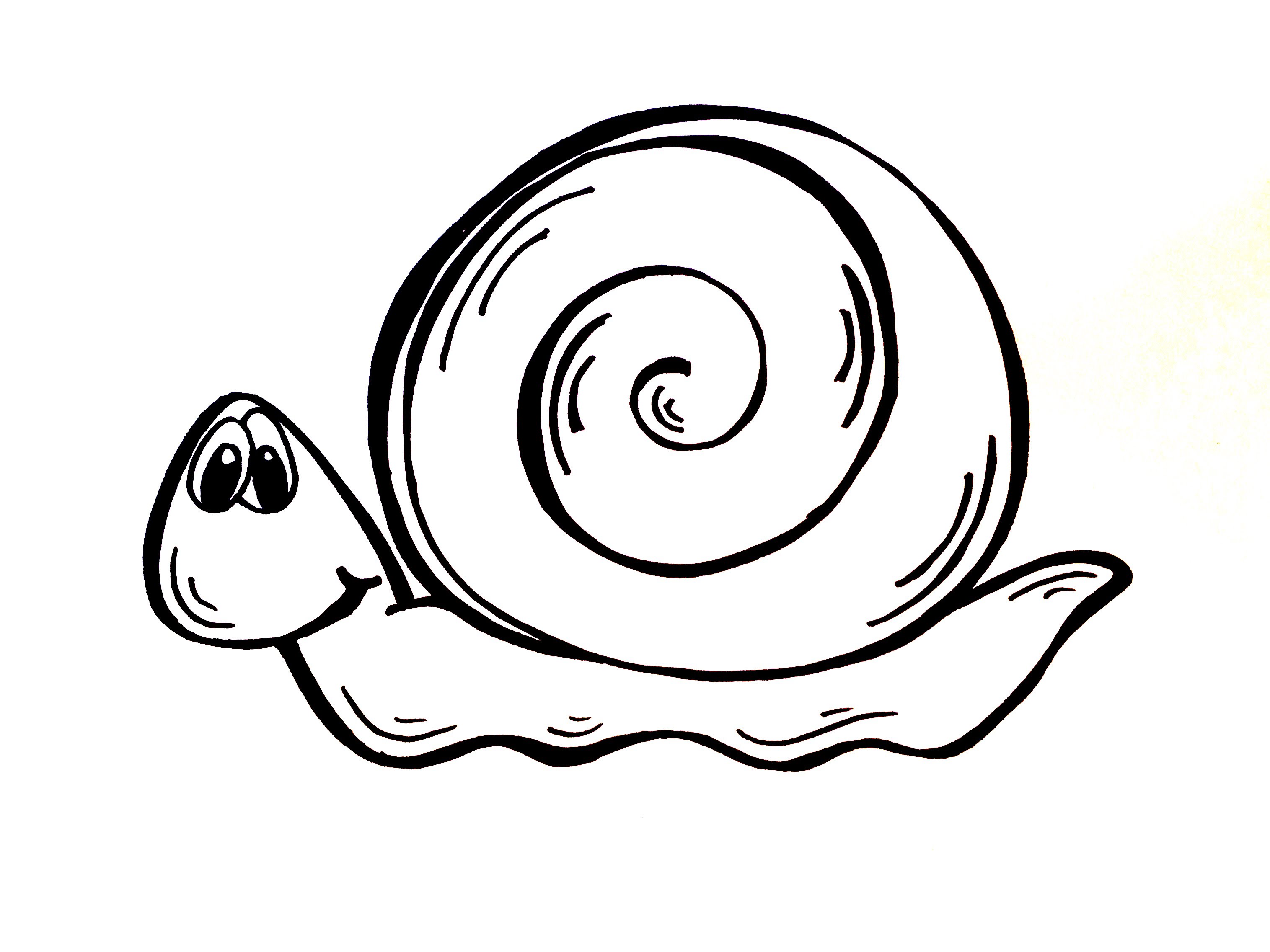 Drawing Lesson: How to Draw a Snail - YouTube