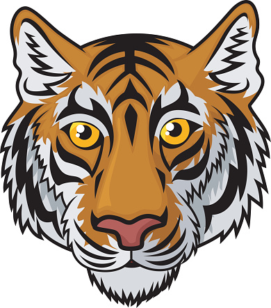 Cartoon Of A Tiger Tattoo Outline Clip Art, Vector Images ...