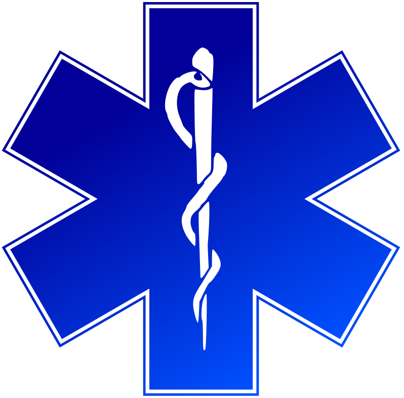 Ems Logo