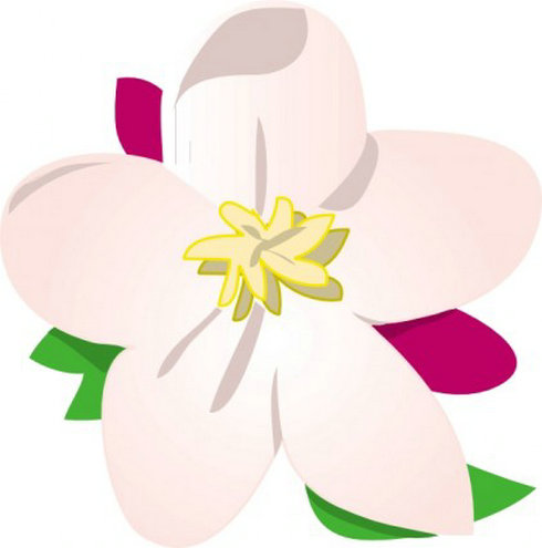 Apple Blossom Clip Art | Free Vector Download - Graphics,