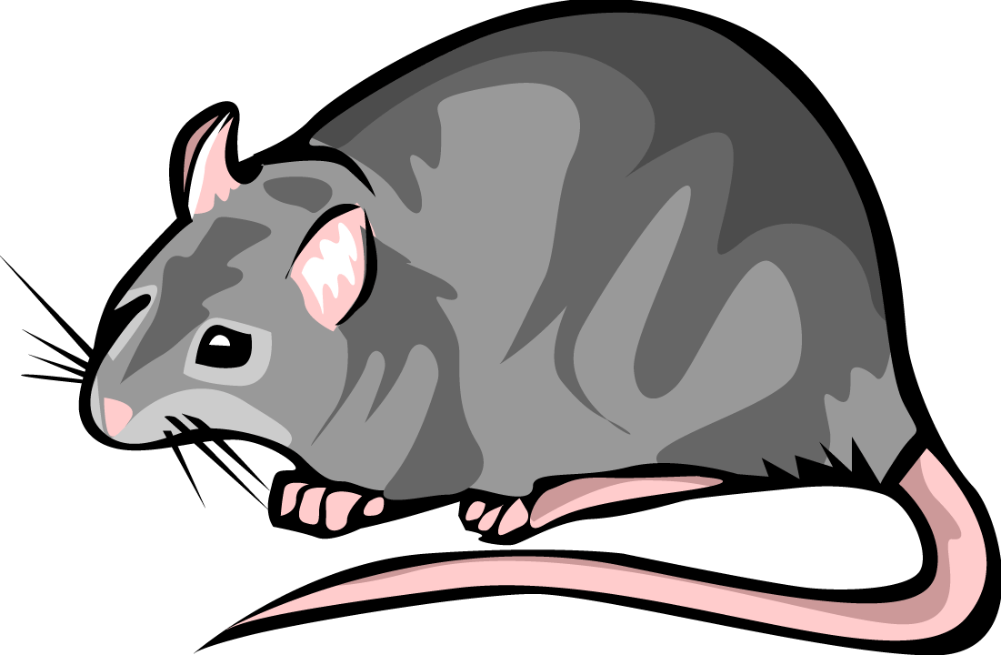 Rat Clip Art Free - Free Clipart Images