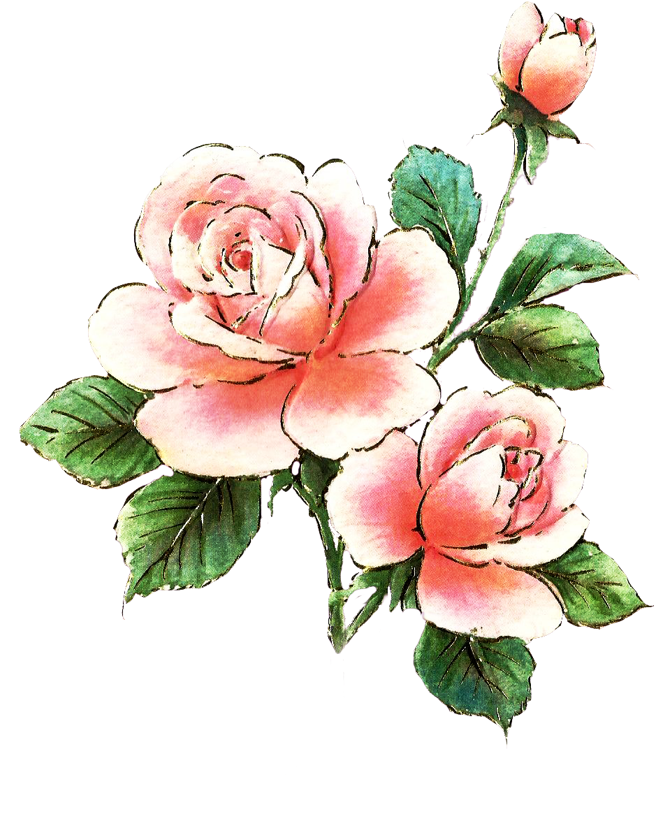 Pink Roses Photo | Free Download Clip Art | Free Clip Art | on ...