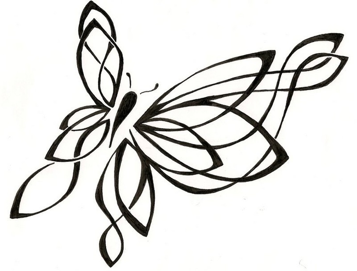 1000+ images about butterfly drawing