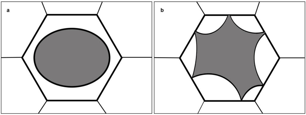 Plants | Free Full-Text | Plasmolysis: Loss of Turgor and Beyond