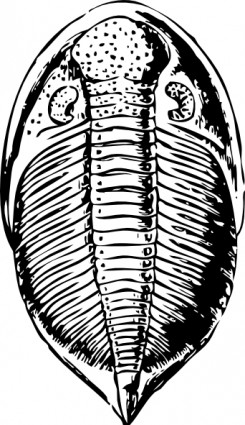 Trilobite clip art Free vector in Open office drawing svg ( .svg ...