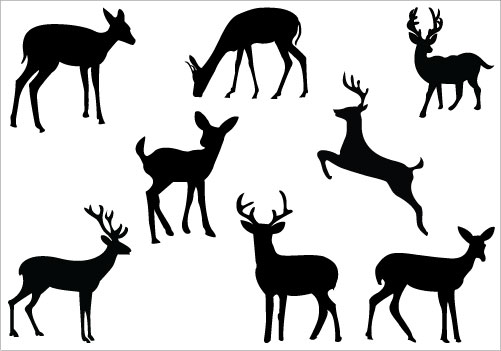 Cute Baby Deer Clipart - Free Clipart Images