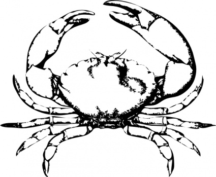 Download Stone Crab clip art Vector Free