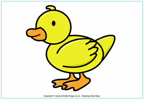 Duck Printables