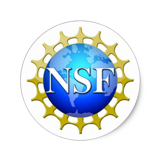 NSF Logo By Request Classic Round Sticker | Zazzle