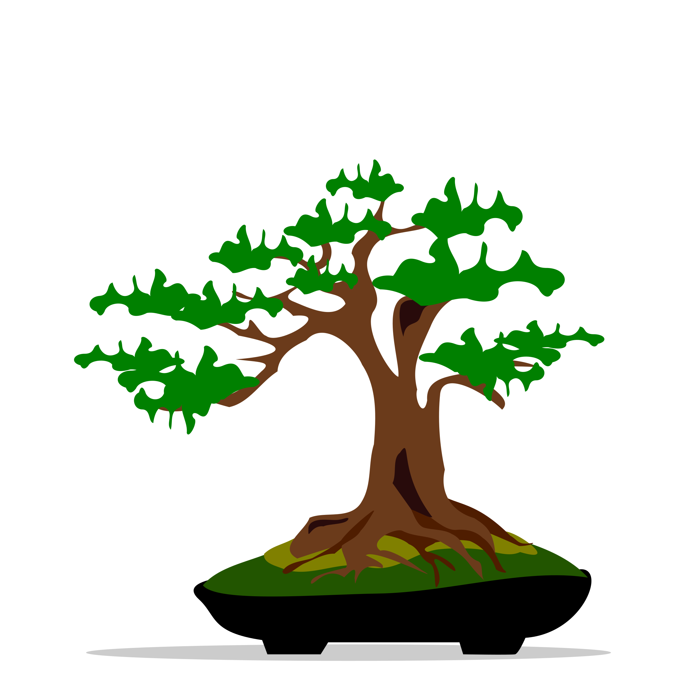 Clipart - bonsai-06