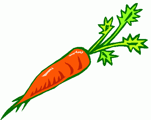 Carrot Clipart