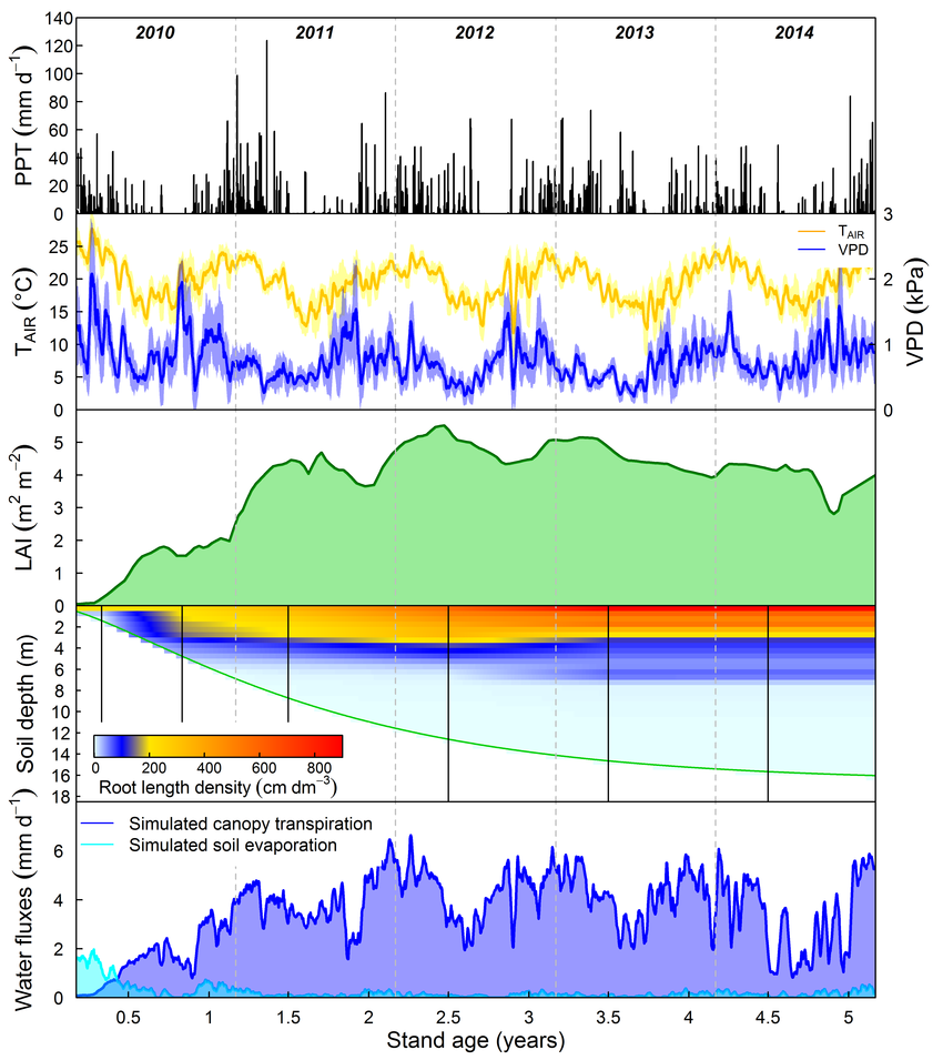 Time-series of daily precipitation (PPT, mm d -1 ), air ...