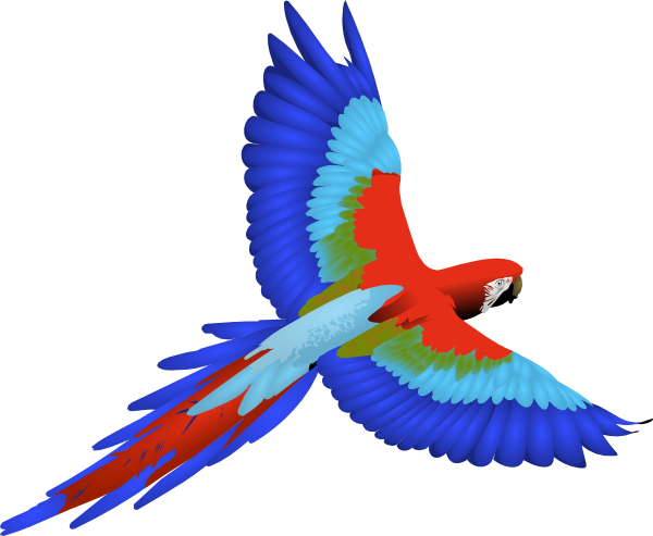 Parrot Clip Art - vector clip art online, royalty ...