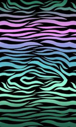 Cute Zebra Backgrounds