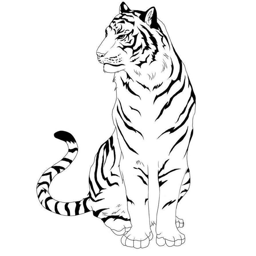 Tiger Line Drawing - ClipArt Best
