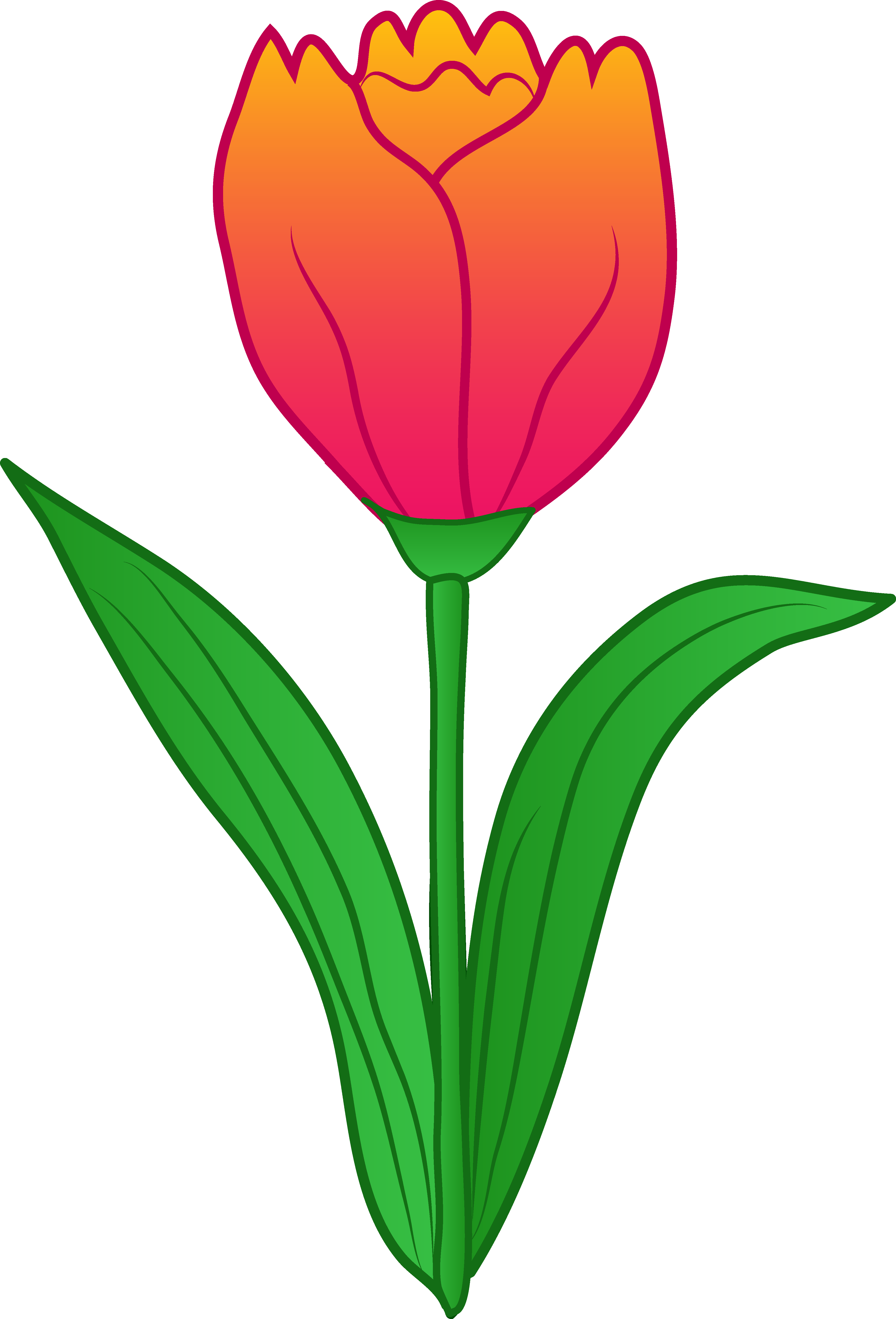 Clipart tulips flowers