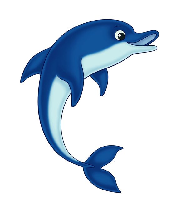 Live dolphin clipart - ClipartFox