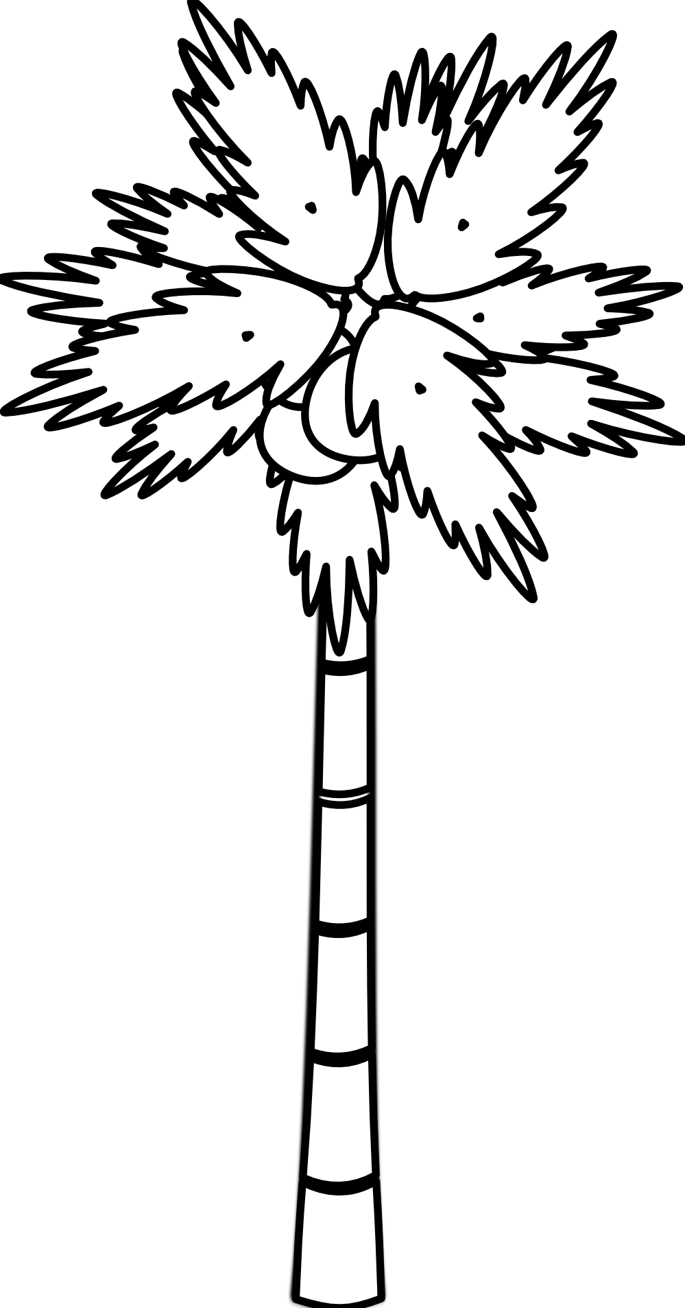 Coconut Trees Clipart Black And White